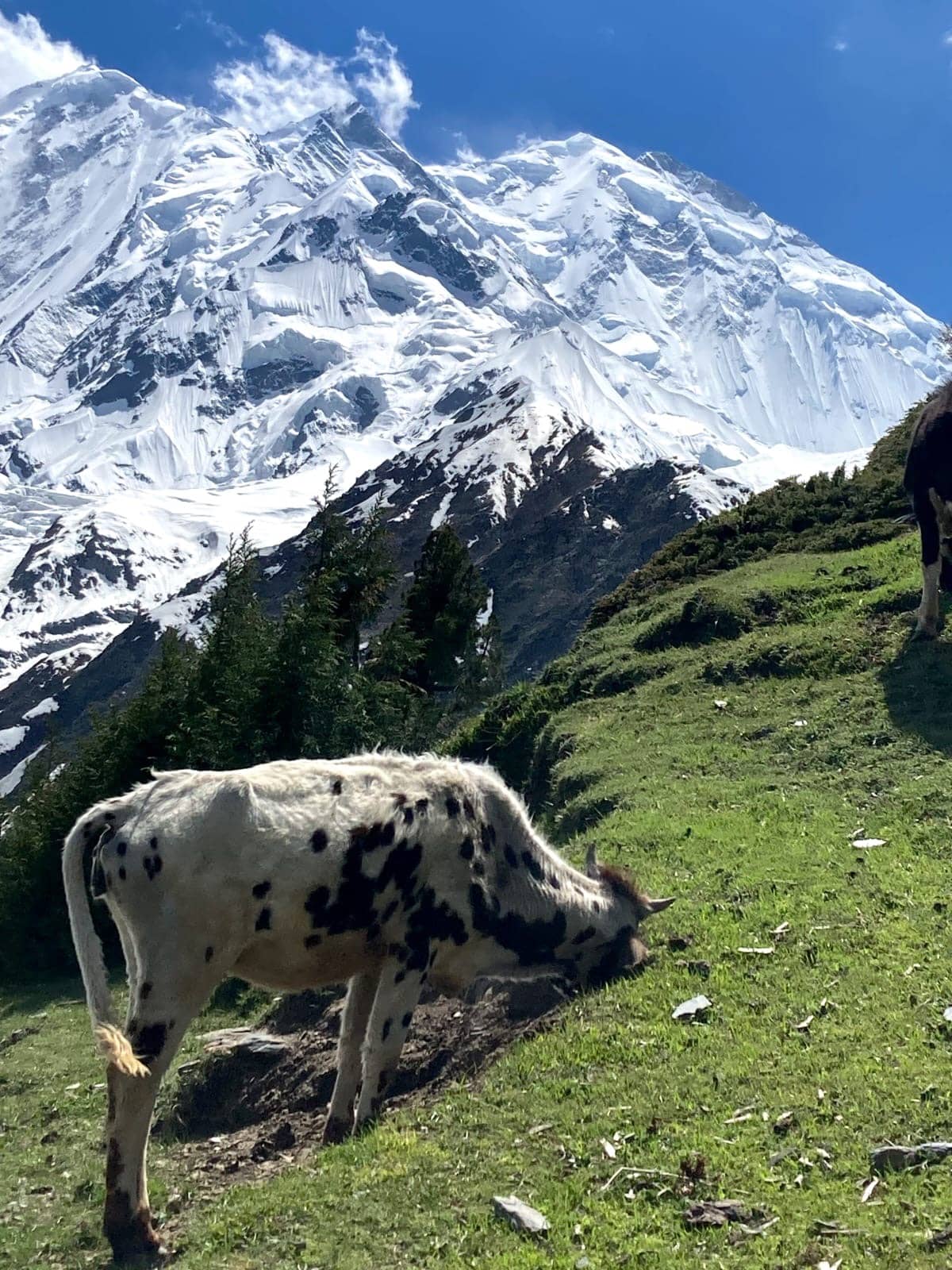 Beyond Baltoro — Northern Pakistan